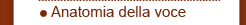 Anatomia Della Voce